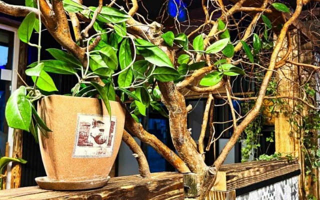 att.dLp2oGmlCDhlg-szplf2ibgfGrSLHEUcnqD4TbJoePo — kopia.JPG